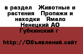  в раздел : Животные и растения » Пропажи и находки . Ямало-Ненецкий АО,Губкинский г.